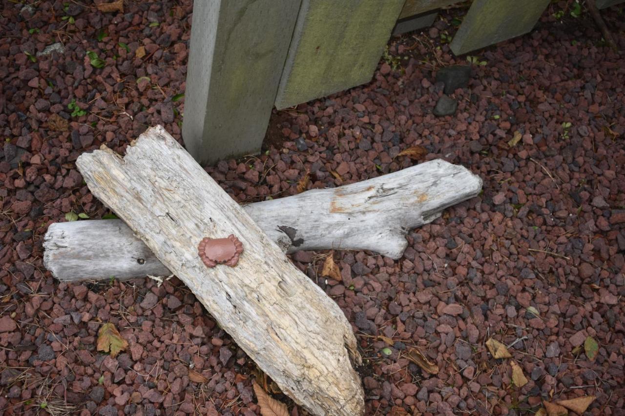 Lighthouse Cove Inn Bandon Buitenkant foto A piece of driftwood